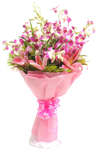 Orchid beauty